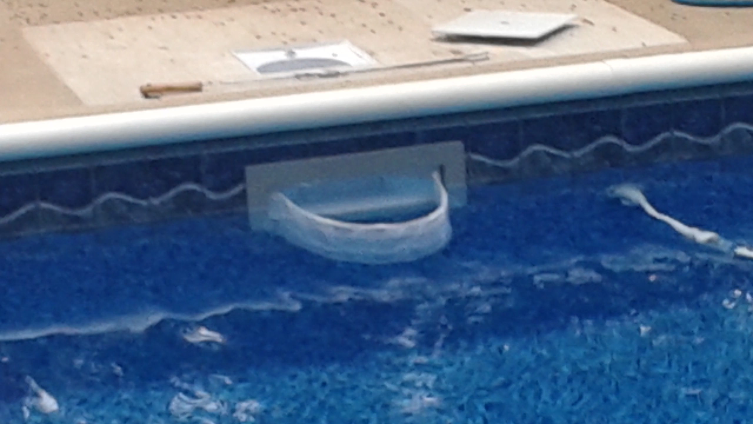 Skimmer Shield installed in pool skimmer — angled view