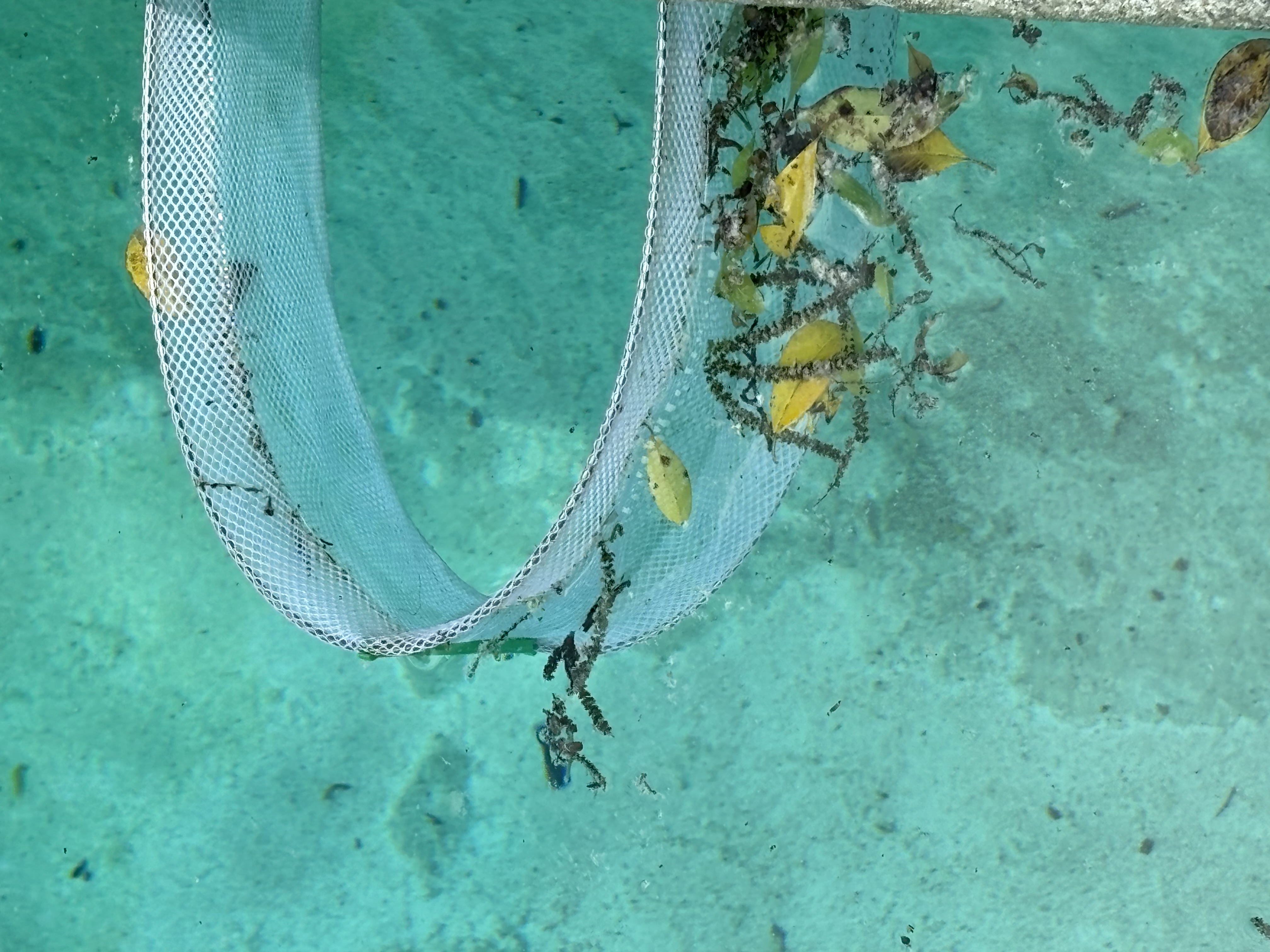 Skimmer Shield installation