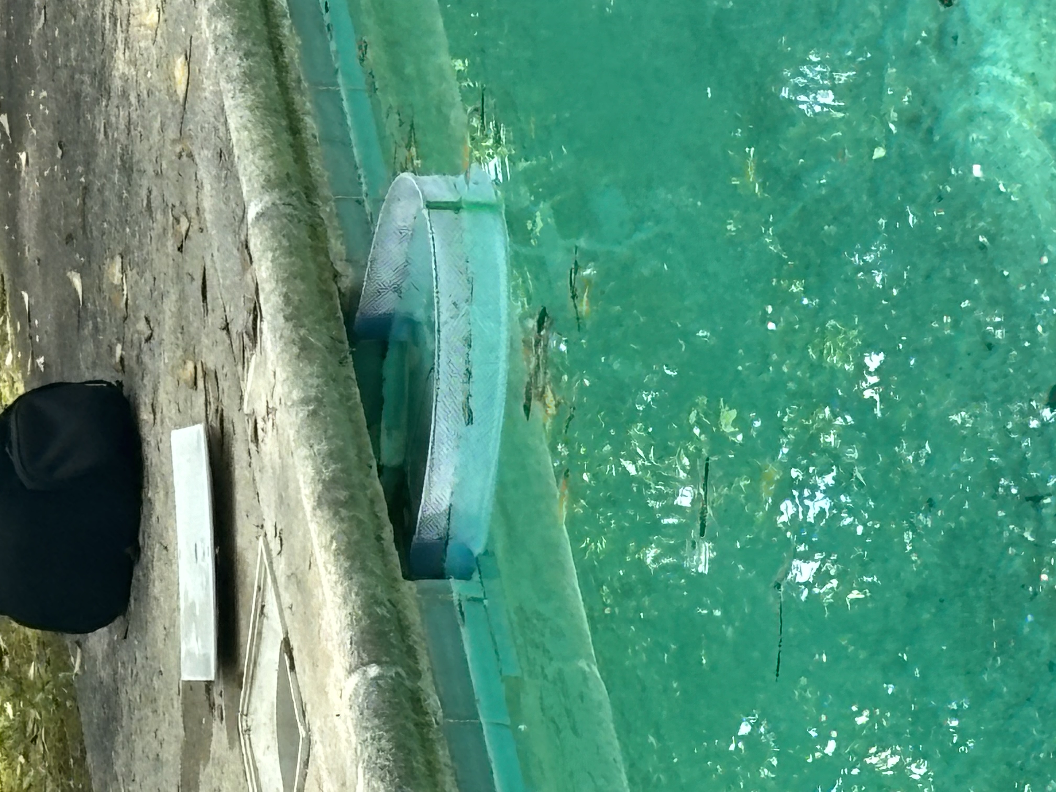 Skimmer Shield secured in pool skimmer
